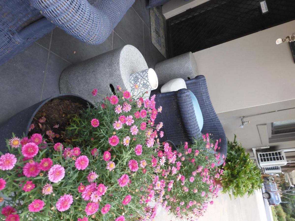 Dalby Parkview Motel المظهر الخارجي الصورة