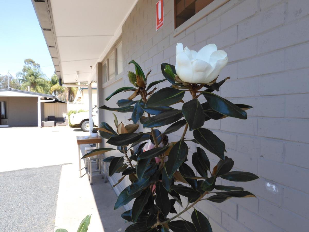 Dalby Parkview Motel المظهر الخارجي الصورة